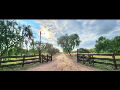 Terrenos Venta Santiago Del Estero TAGLIAVINI VENDE TERRENO EN LOTEO CERRADO - MAQUITO - ATRAS DE BARRIO PRIVADO TATOO