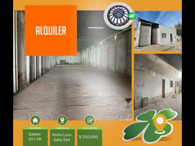 Oficinas y Locales Alquiler Santiago Del Estero Galpon 10x59 Pedro Leon Gallo casi Colon