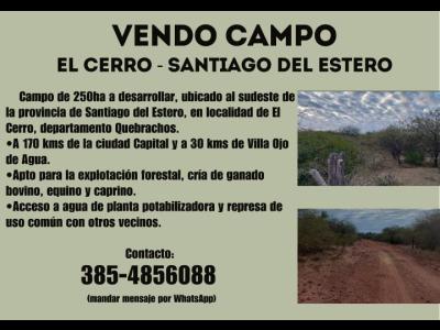 Campos Fincas Chacras Venta VENDO CAMPO EN EL CERRO - QUEBRACHOS